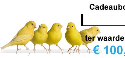 waardebon 100 euro