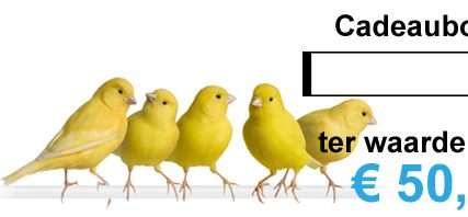 waardebon 50 euro