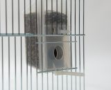 Voersilo kanarie exoten