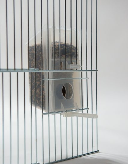 Voersilo kanarie exoten