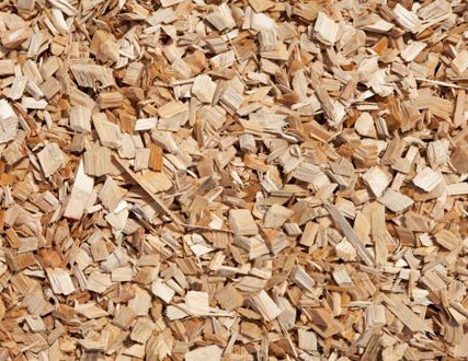 Beukenhoutensnippers 6mm