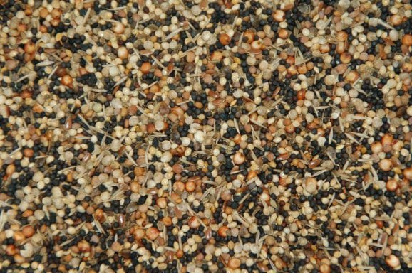 Onkruidzaad 4 kg Onkruidzaad 4 kg