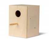 Broedblok valkparkiet