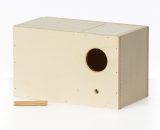 nestkast engelse parkiet