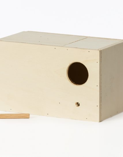 nestkast engelse parkiet