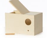 nestkast engelse grasparkiet