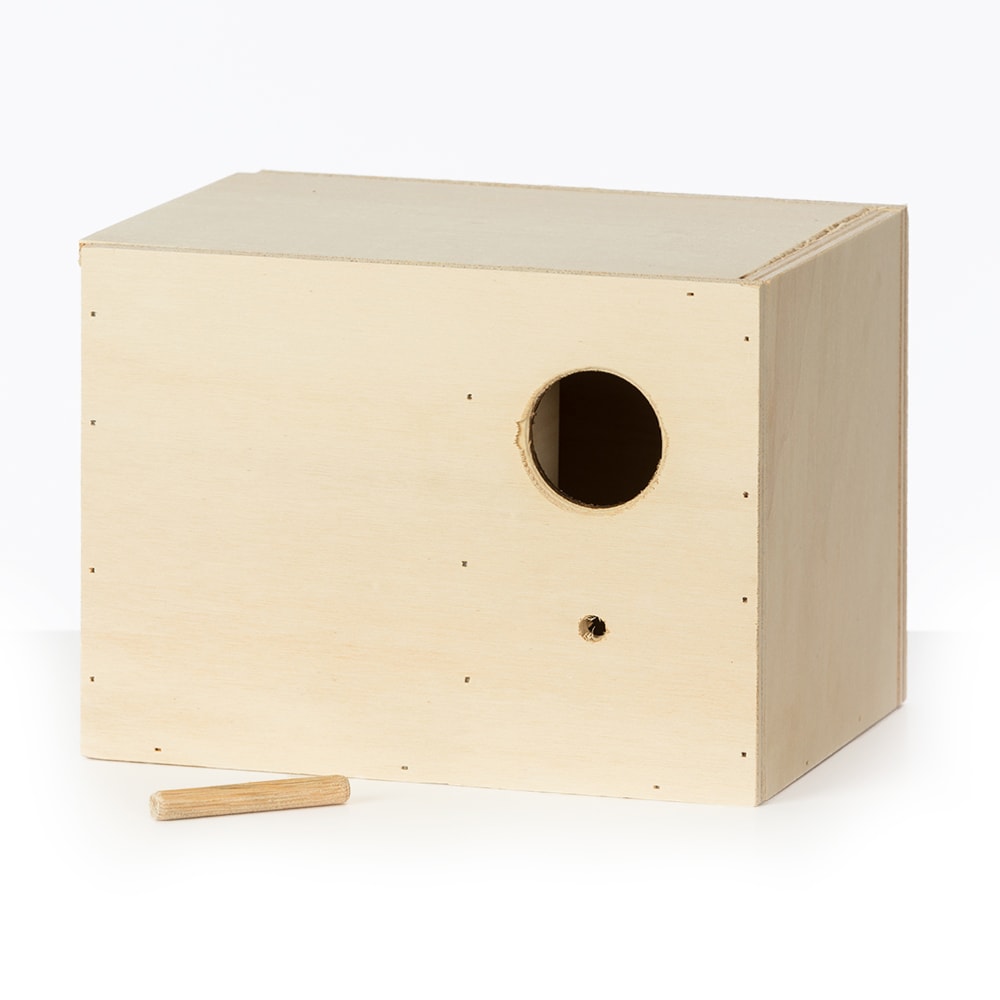 broedblok catharina broedblok catharina