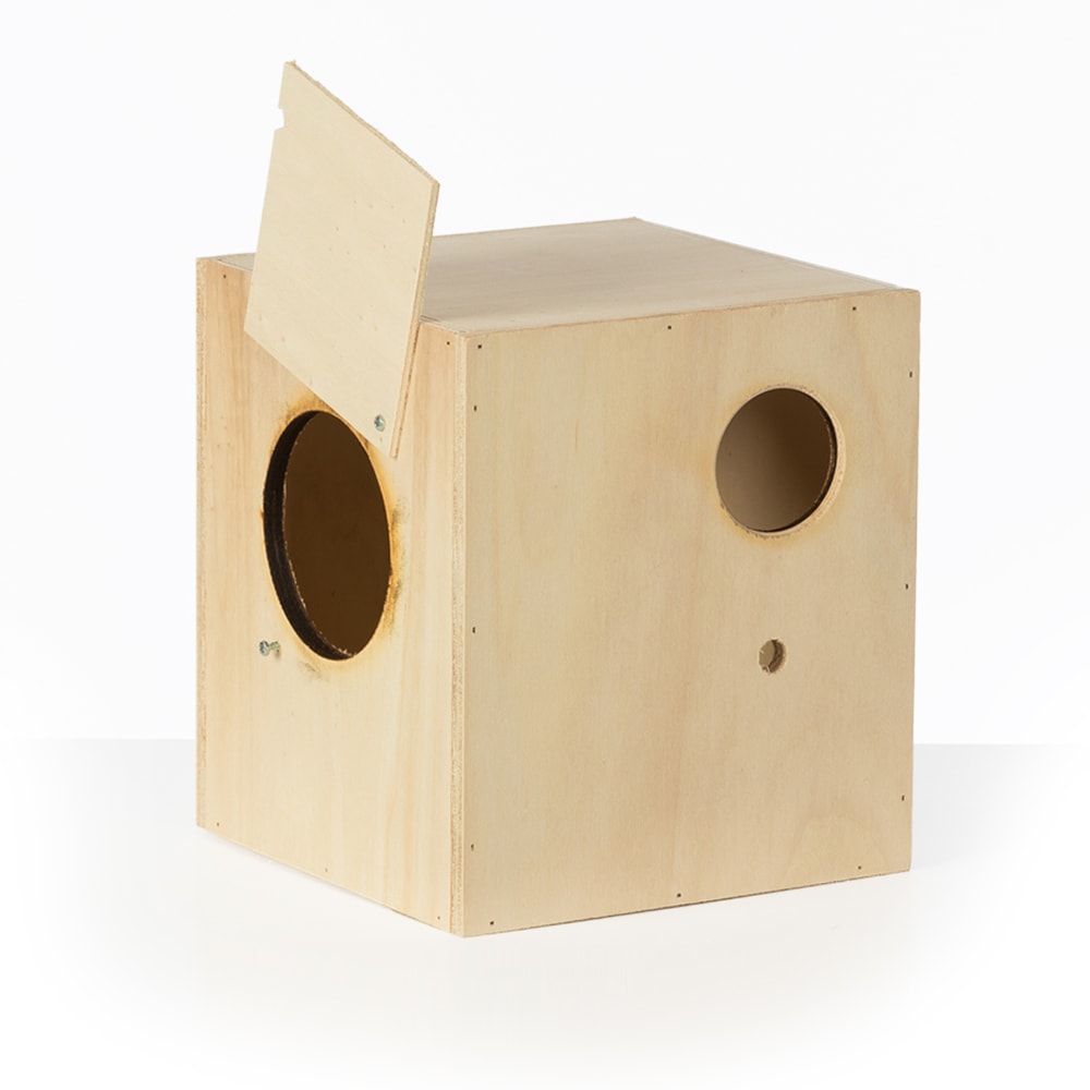 nestkast kakariki nestkast kakariki