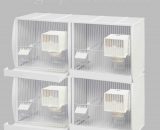 kunststof broedkooien