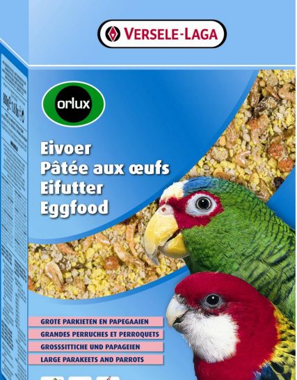 eivoer grote parkiet