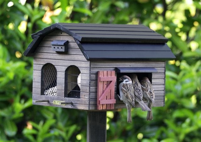 Voederhuisje Foderlada Brun.jpg Voederhuisje Foderlada Brun