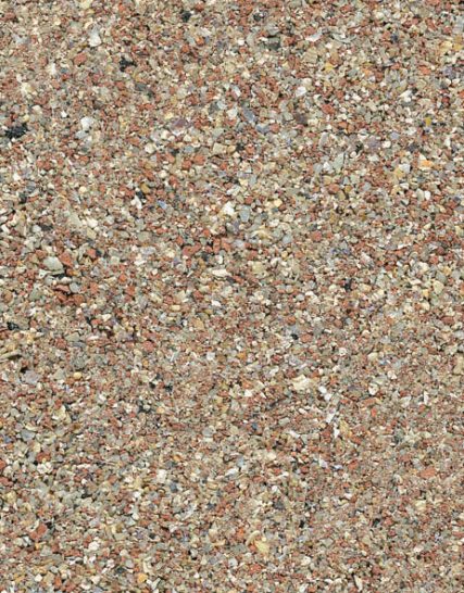 Oester / schelpengrit 2 kilo