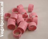 Clickring kippen 16 mm