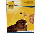 cede eivoer kanaries