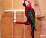 douchestok voor papegaaien