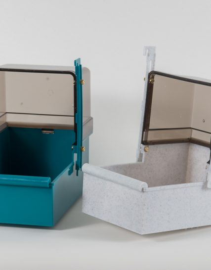 Badhuis parkiet papegaai