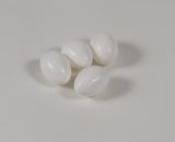 Plastic ei grote parkiet