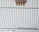 voersilo vogels 4 voet