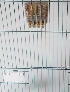 voersilo vogels 4 voet