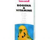 Vitamine a