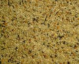 Neophemazaad verpond 5 kilo