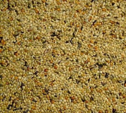 Neophemazaad verpond 5 kilo