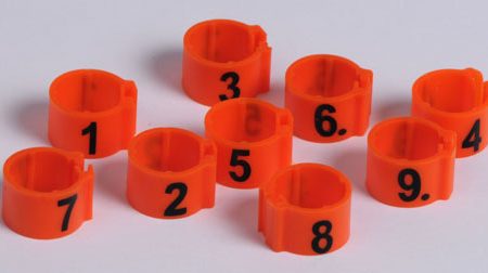 Clickring duif 8 mm genummerd