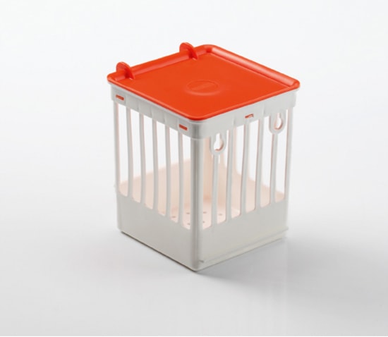 p-1436-plastic_traliesnestkast_wit_oranje.jpg