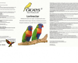 Aves lorinectar