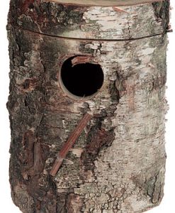 Berkenblok valkparkiet