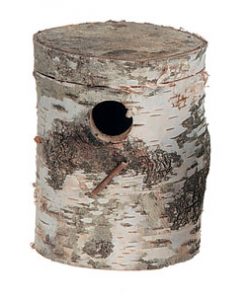 Berkenblok grote parkiet