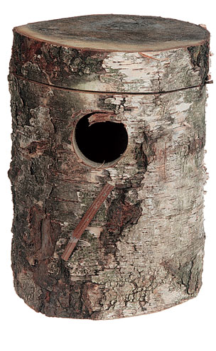 Broedblok agapornis Broedblok agapornis