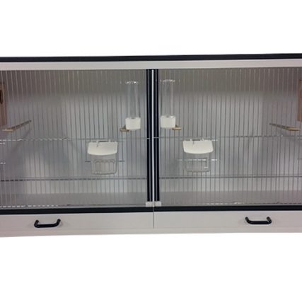 Broedkooi Bakker Gouldamadine