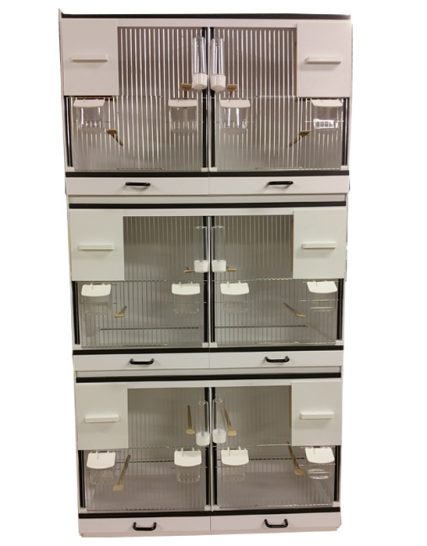 Broedkooi Bakker 6 delig tropen