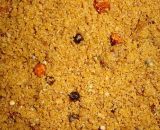 Duiven kracht/opfokvoer