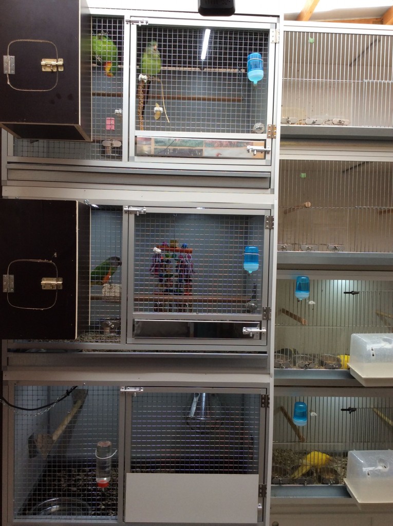 Bakker Papegaaien broedkooien