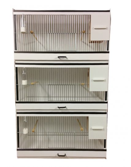 Kunststof kooi Engelse parkieten