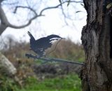 Vogelsilhouet winterkoning