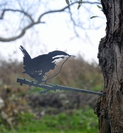 Vogelsilhouet winterkoning