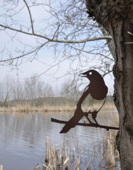 vogelsilhouet ekster