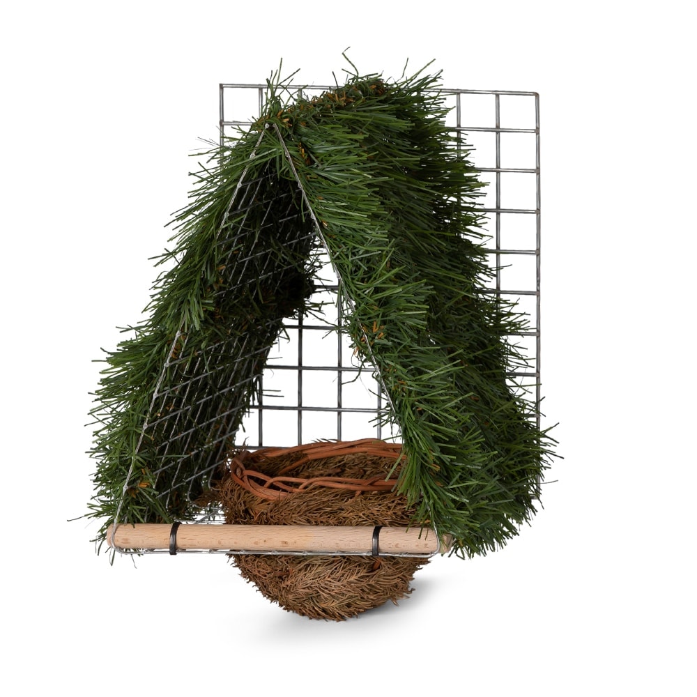 nestkast goudvink nestkast goudvink