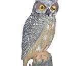 Vogelverschrikker Uil