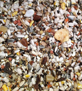 deli nature 64 papegaaienzaad deli nature 64 papegaaienzaad