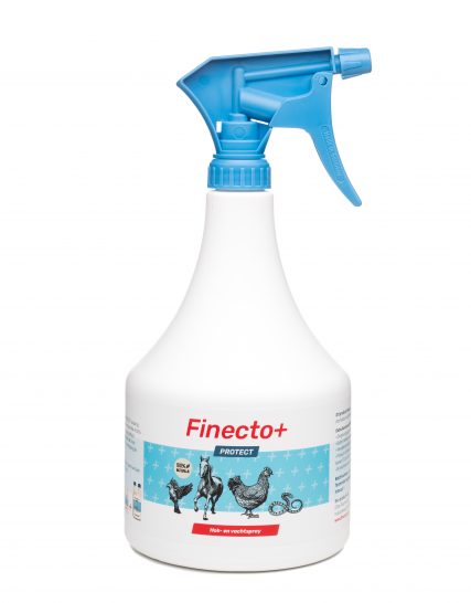 Finecto+ PROTECT 2021