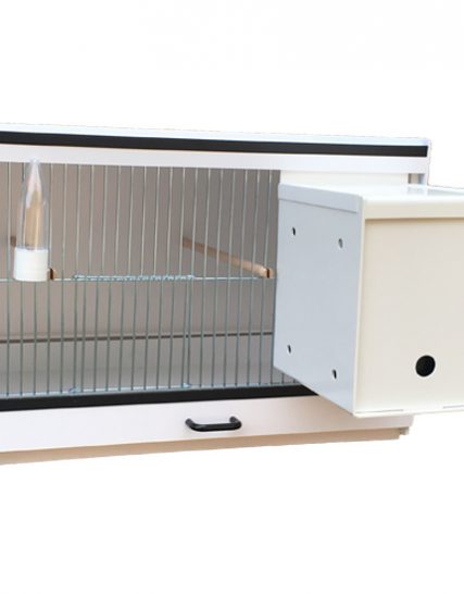 Broedkooi Engelse Parkieten