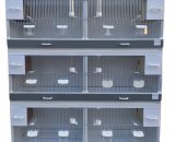 Kunststof broedkooien gouldamadine