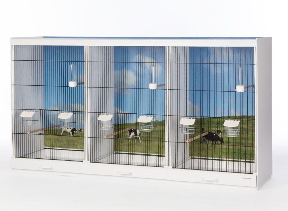 Kamervoliere met fotoprint Kamervoliere met fotoprint