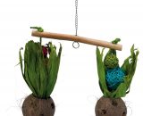 Vogelwip met kokosnoten