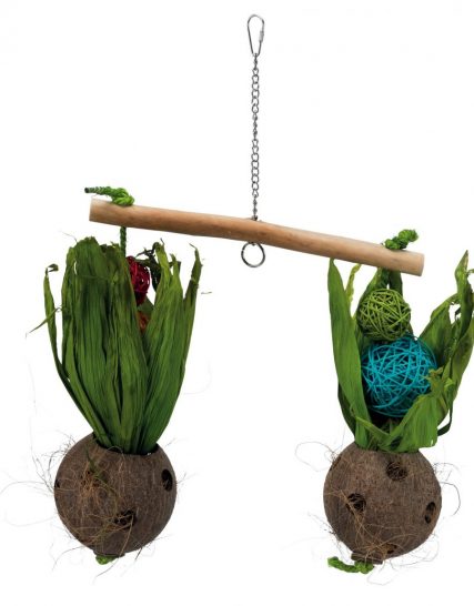 Vogelwip met kokosnoten