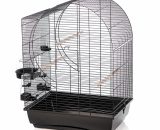 Vogelkooi Duvo Elizabeth